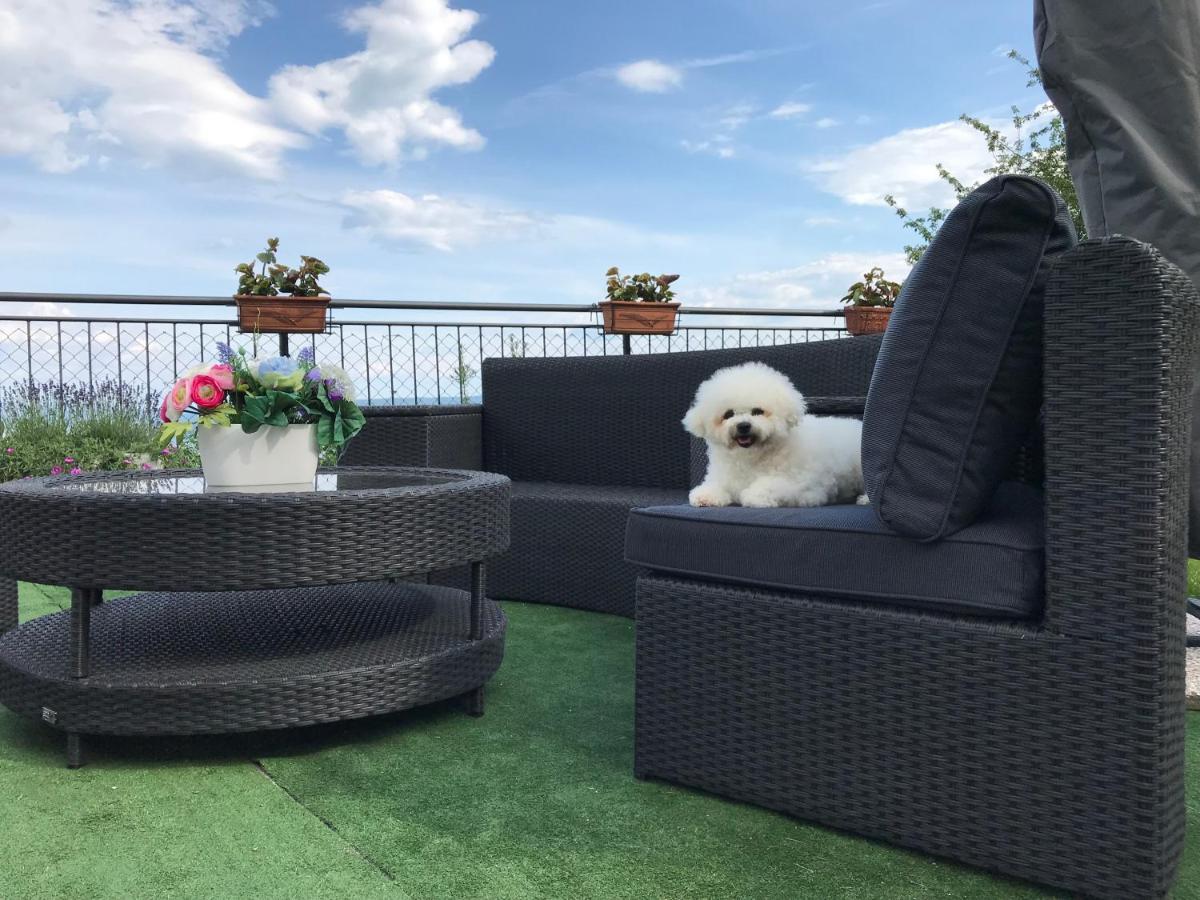 Apartman Nicole Mošćenička Draga Esterno foto